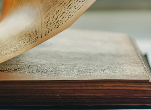 男二也要被爆炒吗筏喻 App 的章节阅读页，浅色背景配薄荷青进度条，手指正向下翻动